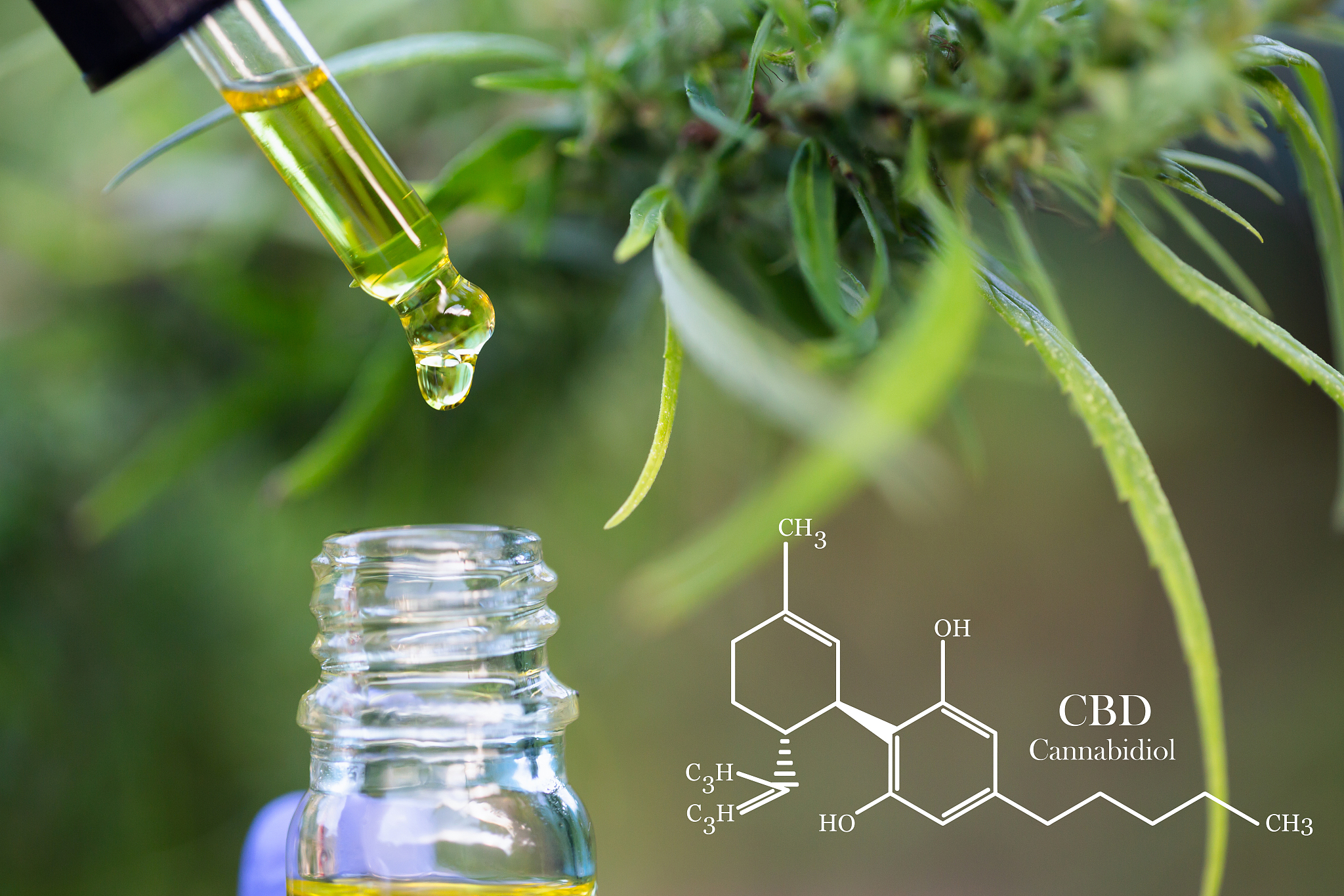 贵阳卫校的药剂专业的专业课程有哪些