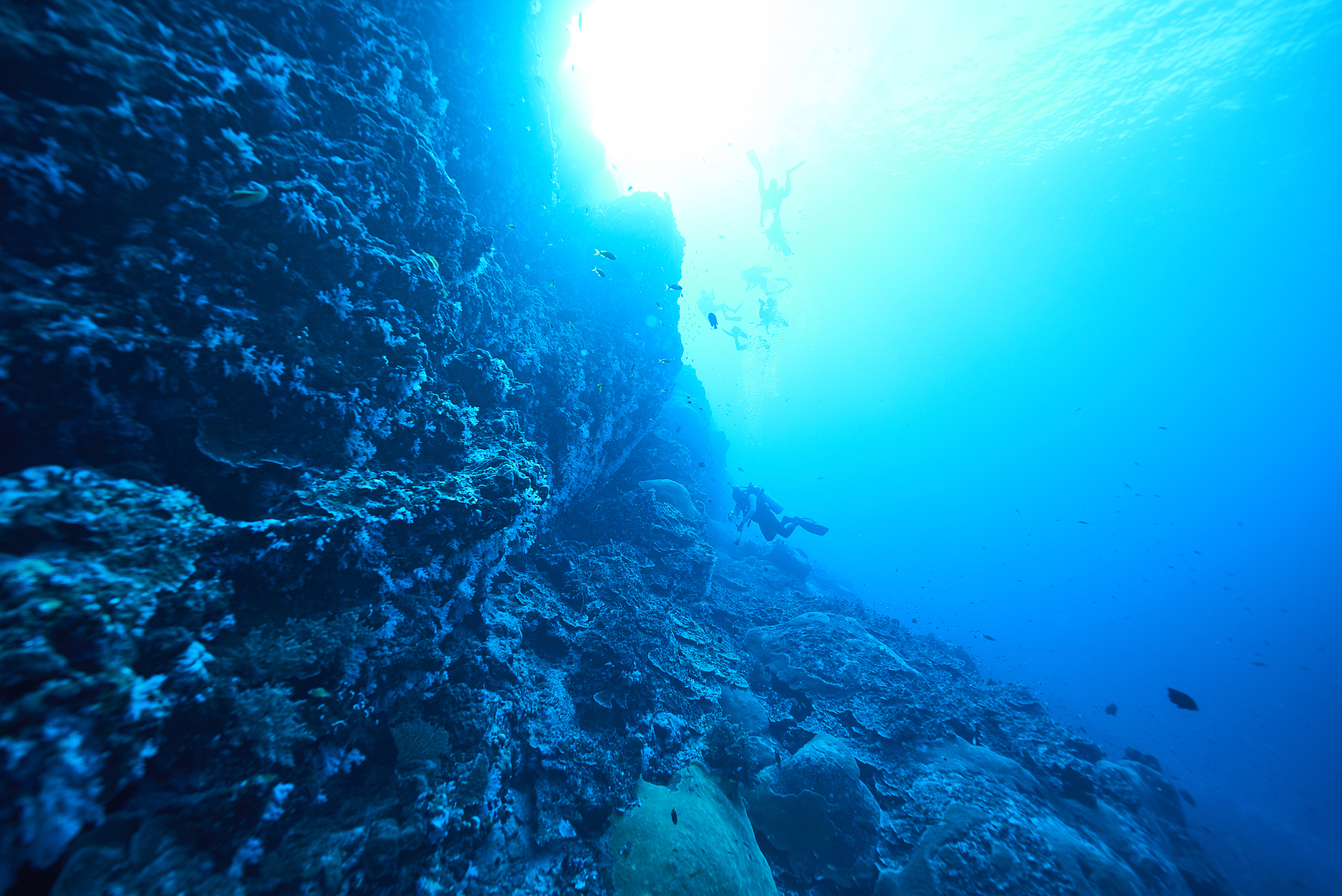 underwater