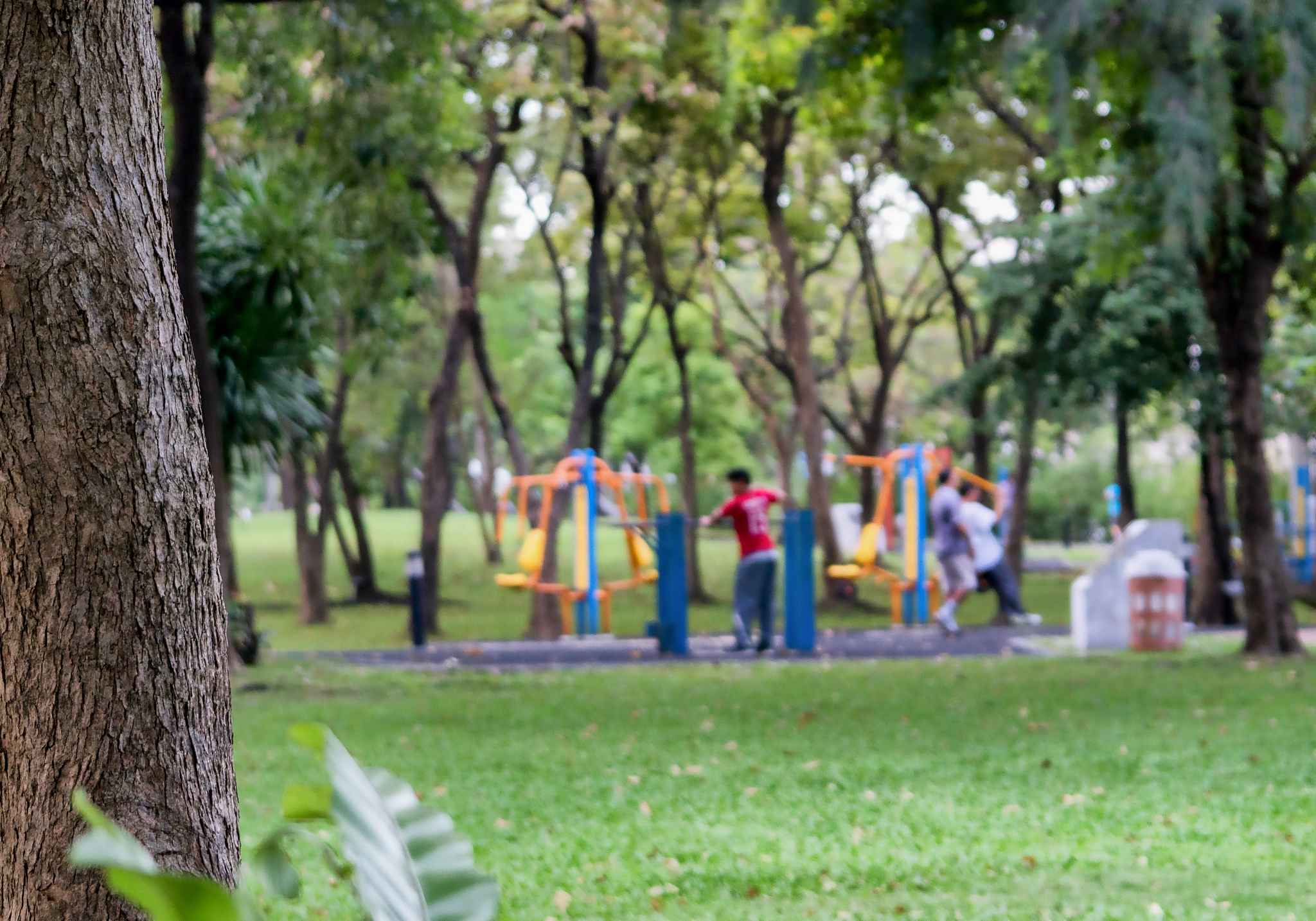 把上面的英文翻译成中文