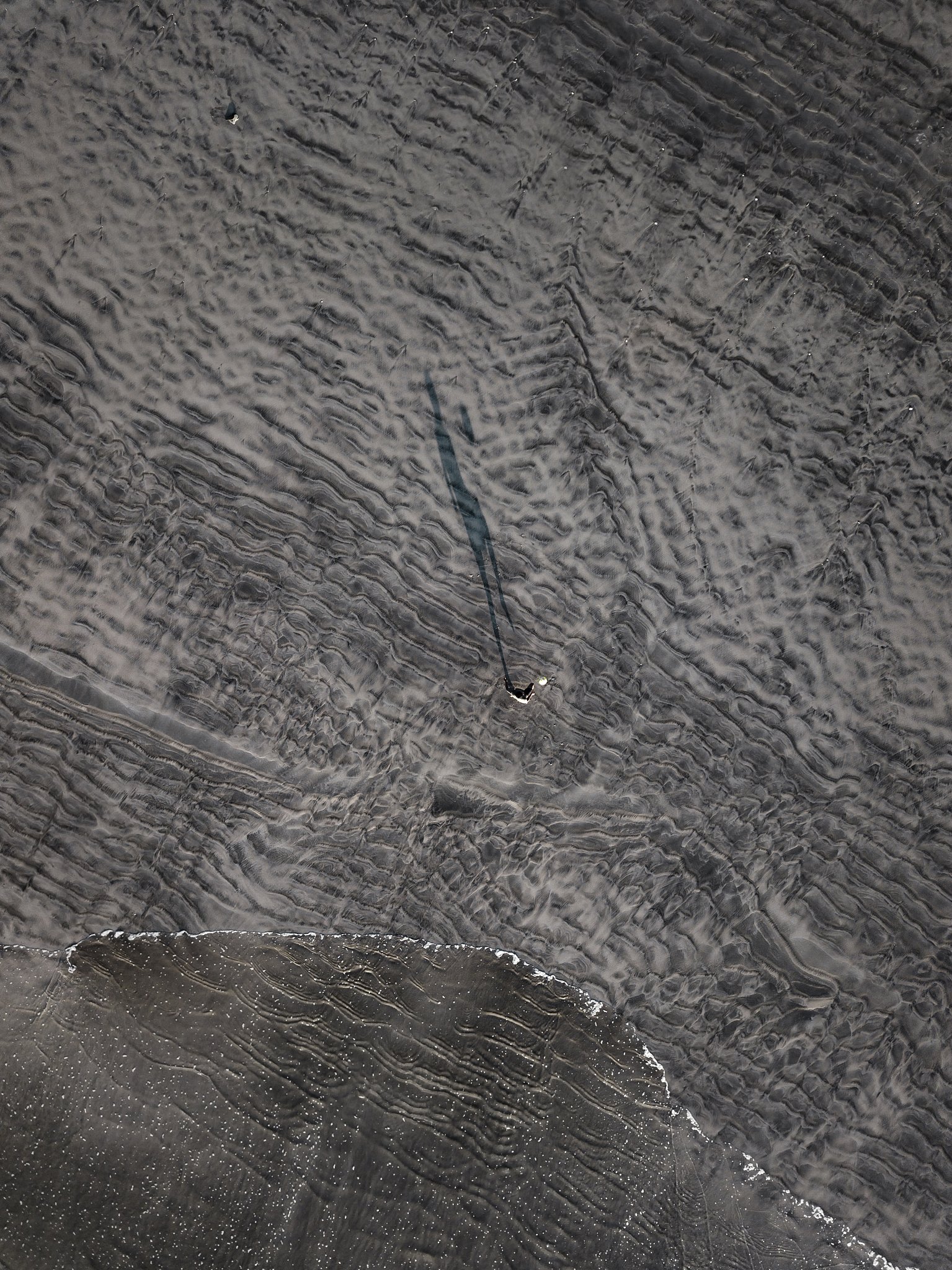 Arnold 渲染器贴图教程：详细步骤及技巧