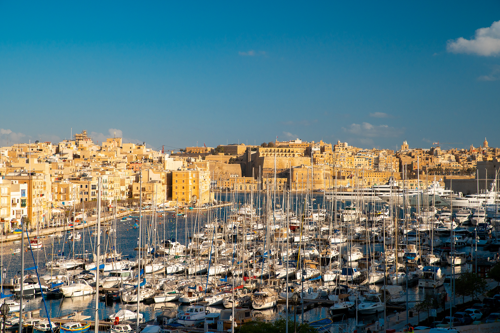 malta. birgu bay with yachts