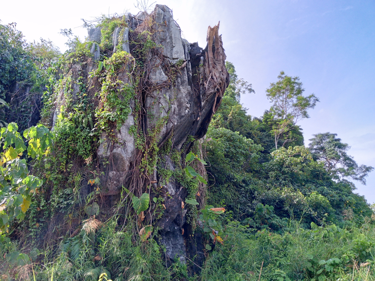 南宁伊岭岩,南宁伊岭岩风景区