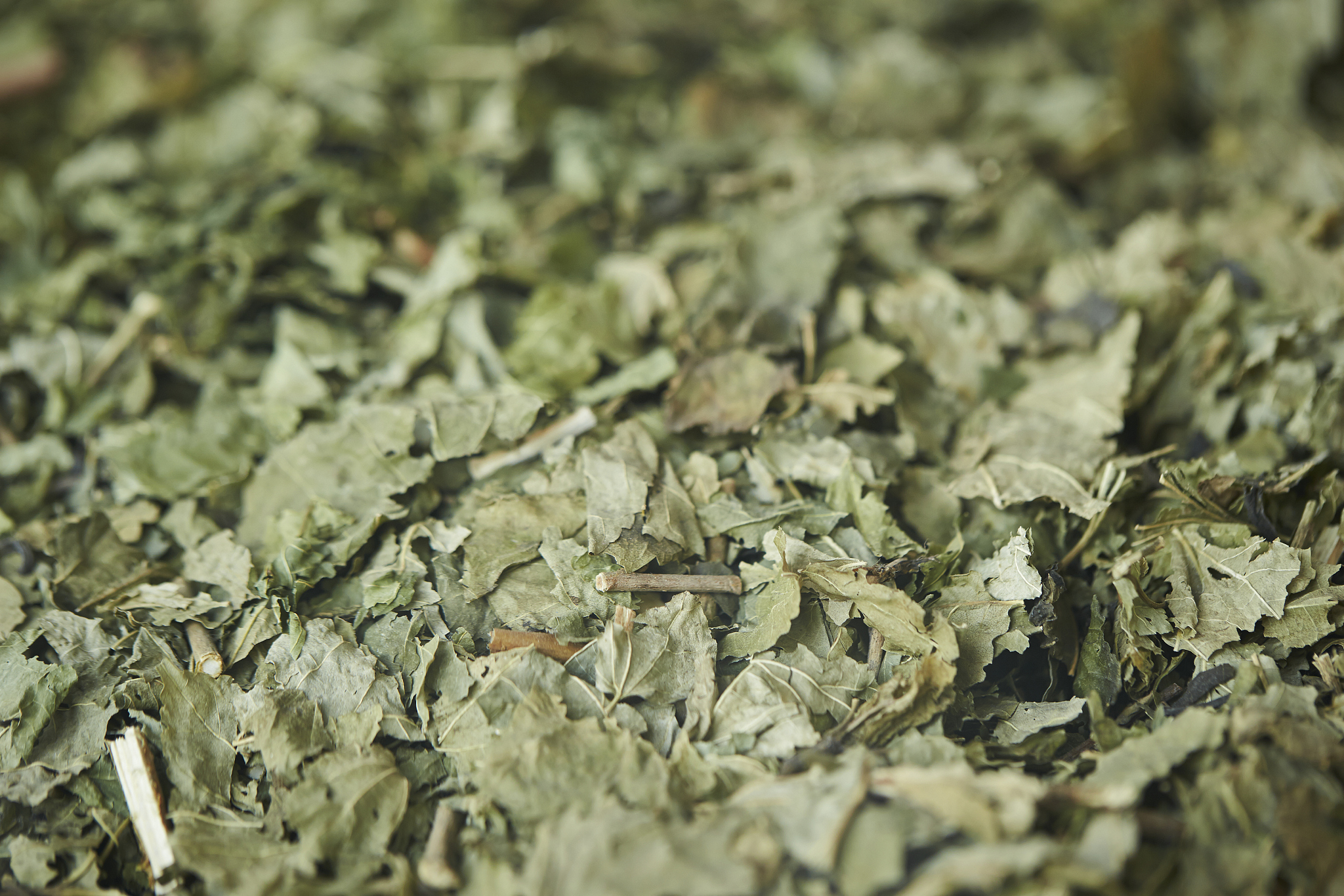 辽宁中医药大学杏林学院有哪些专业及什么专业好