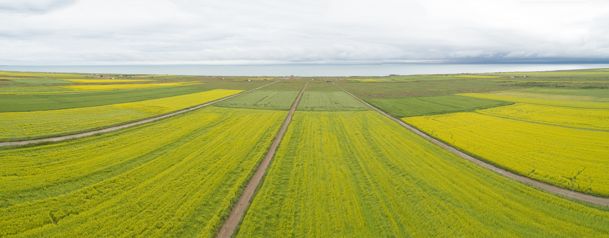 曲靖农业学校五年制大专招生专业介绍 - 2019年