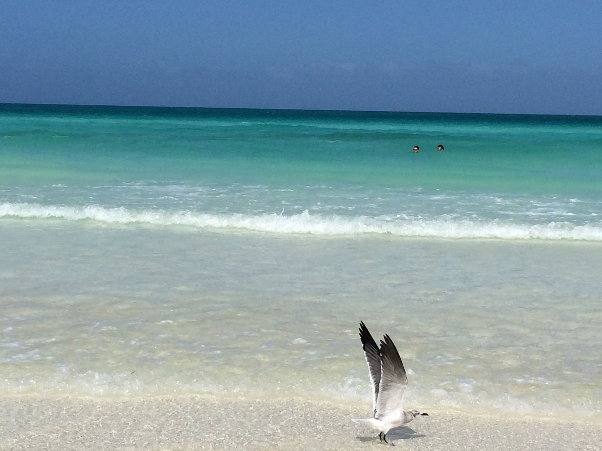 海边美景：感受大海的魅力与宁静