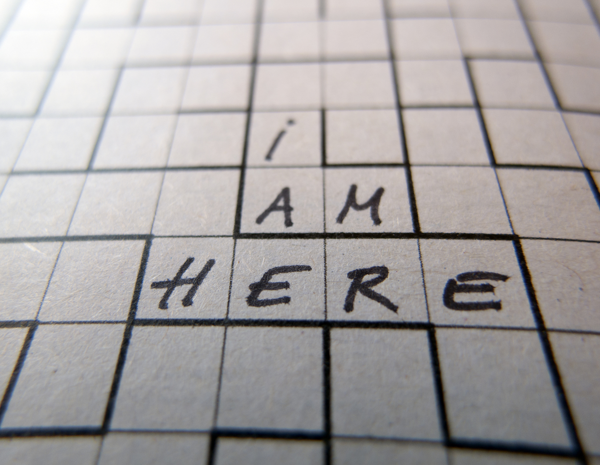 AWMT 字母组合能组成哪些单词？完整列表！