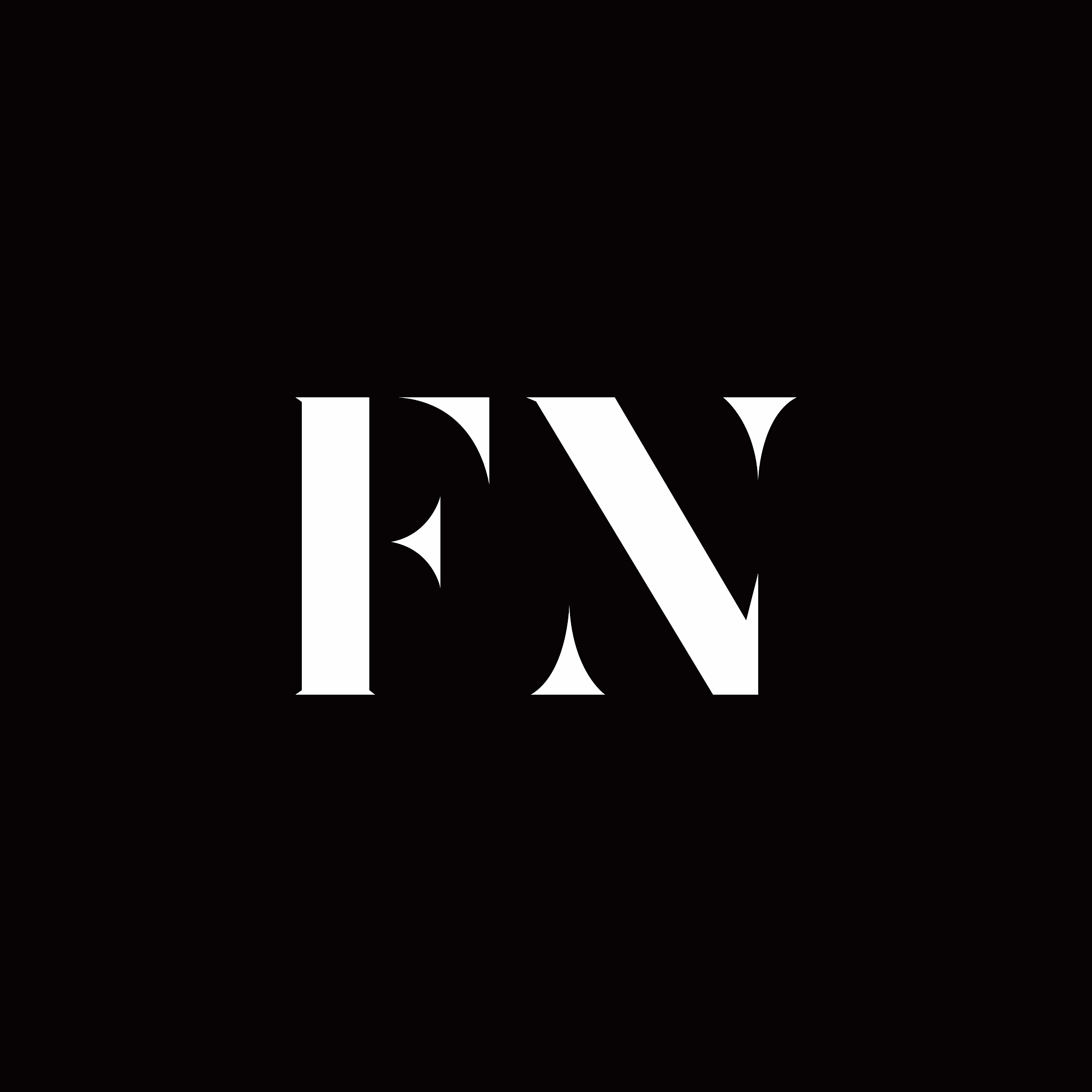 fn logo letter initial logo designs template