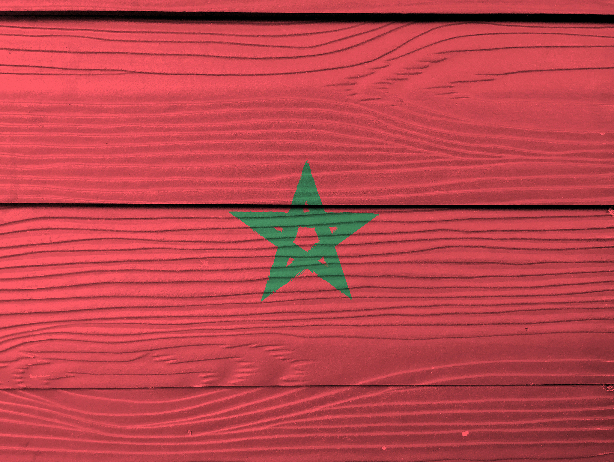 flag of morocco on wooden wall background. grunge moroccan flag 