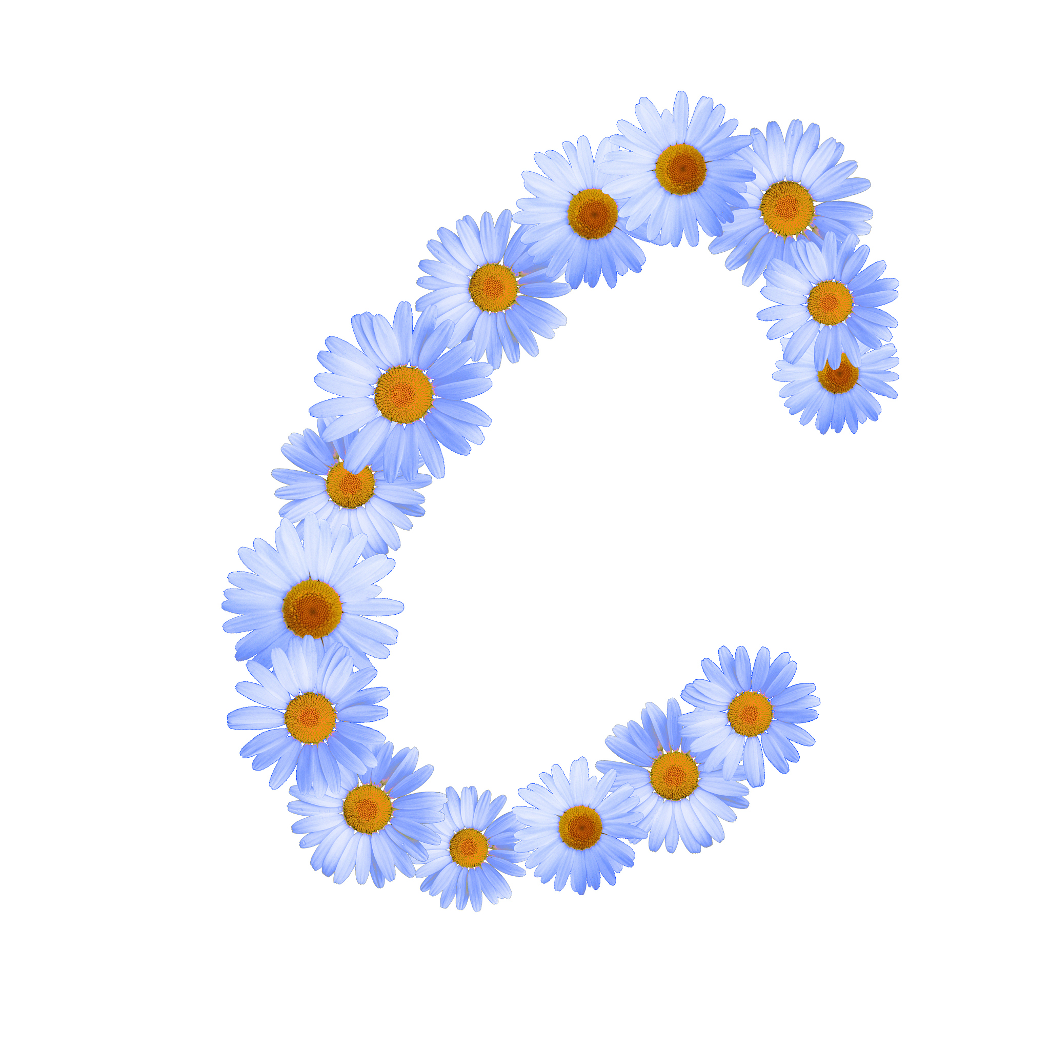 英文字母<strong>c</strong>,蓝色,雏菊,美,字母,绘画插图,美人,符号,标签,夏天