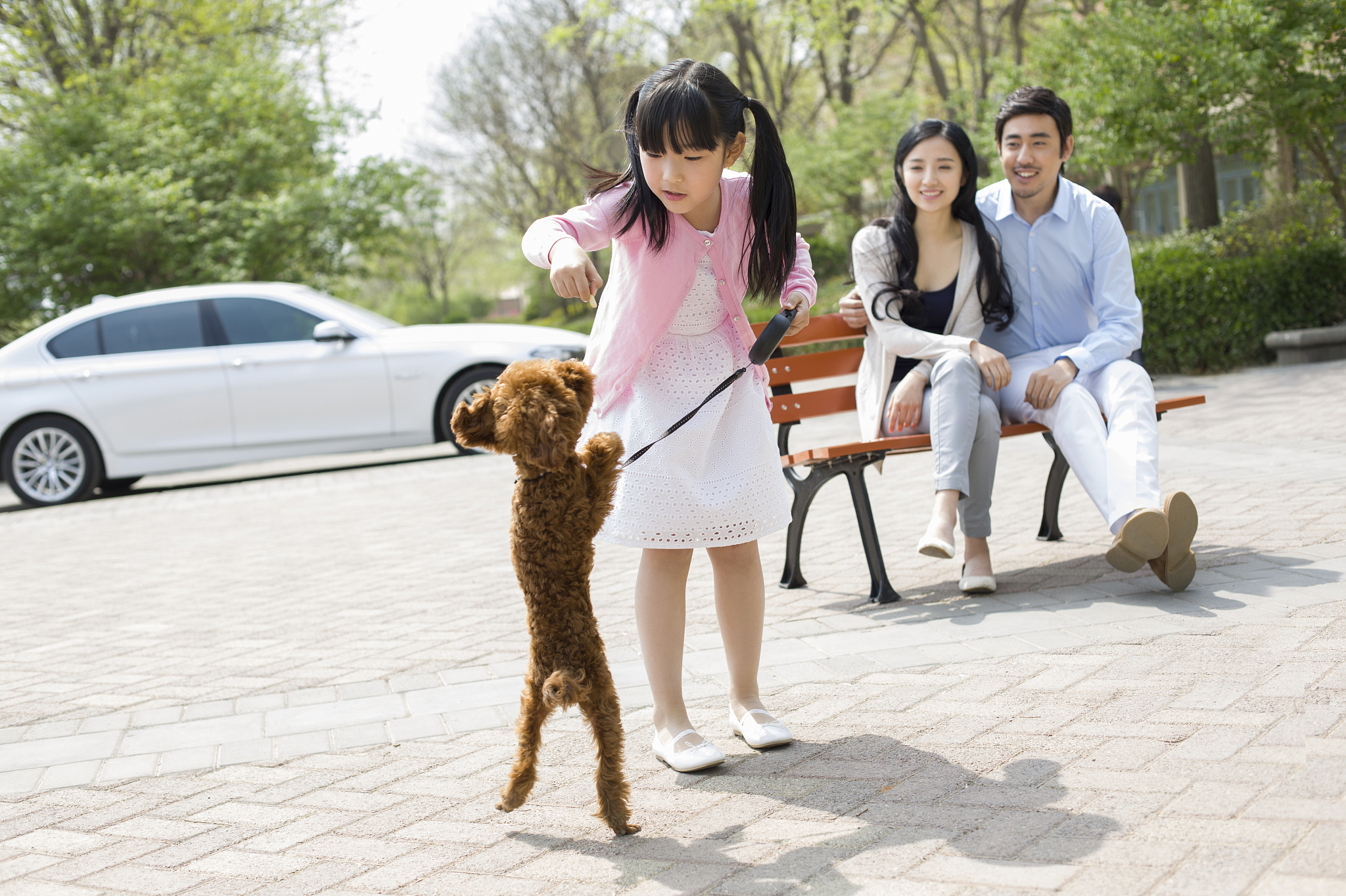 年轻人养宠避坑指南：时间、经济、责任，你准备好了吗？