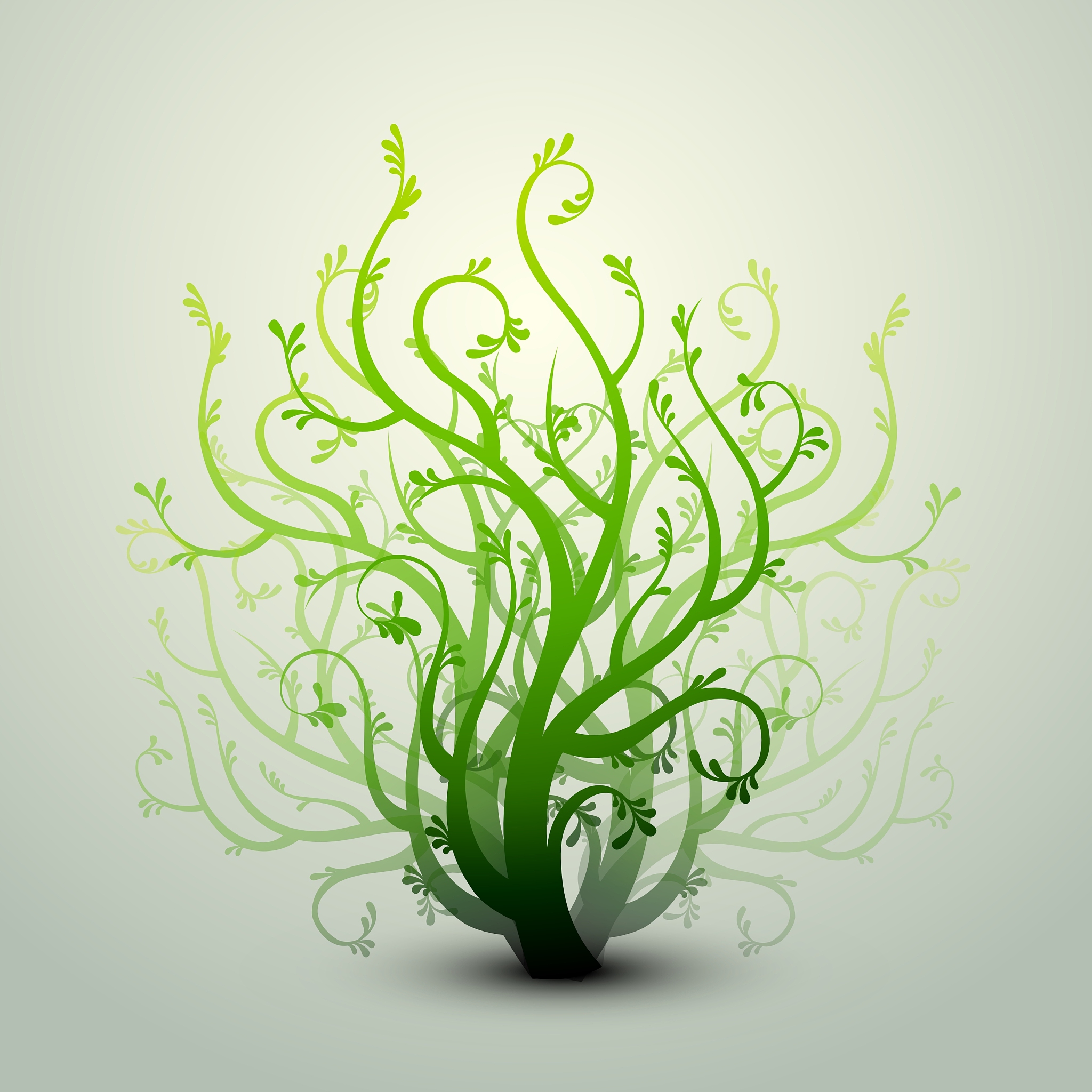 clean floral background