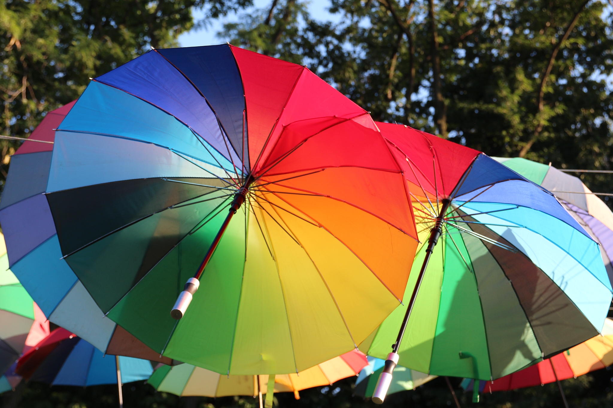 umbrellas