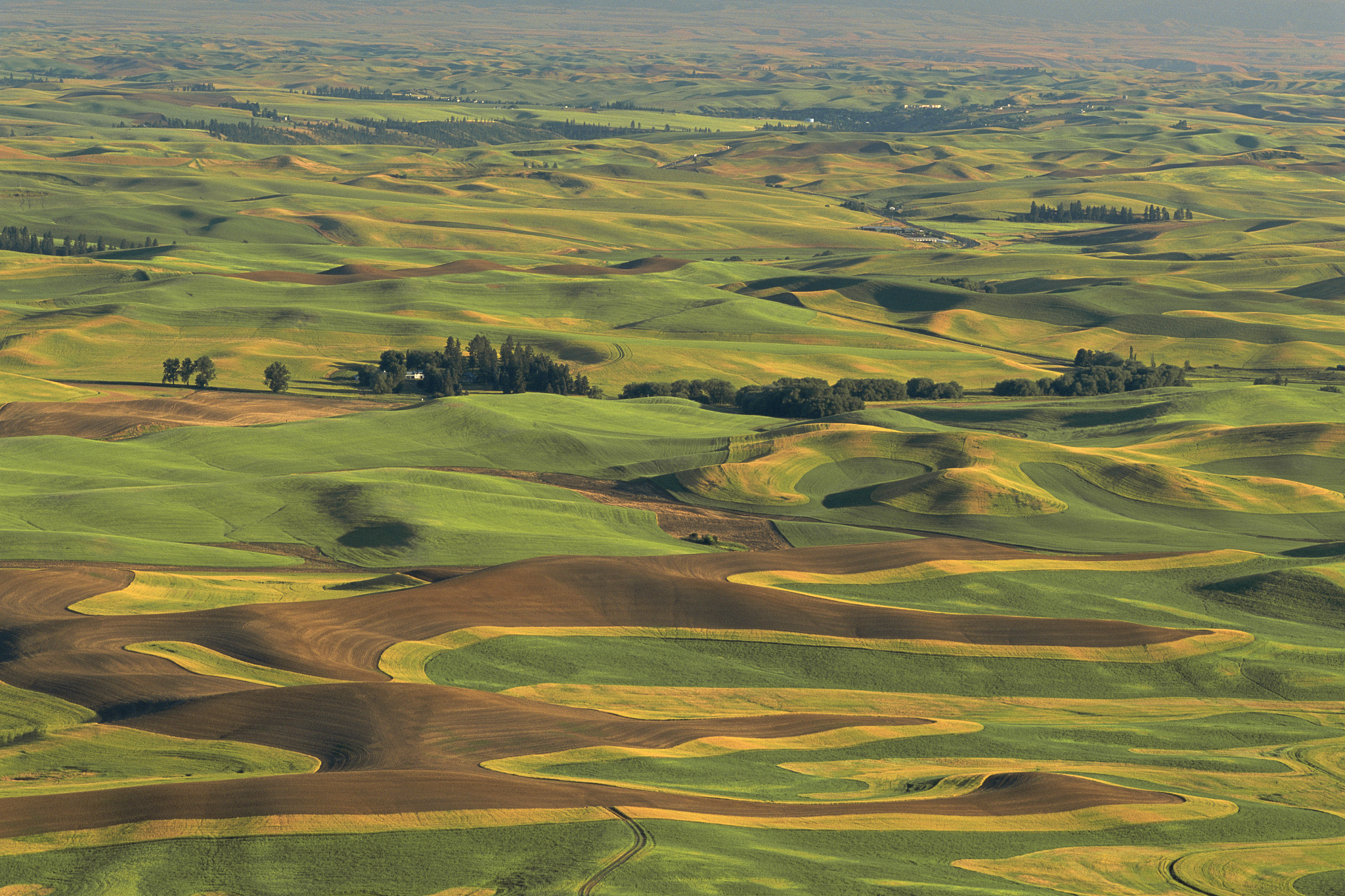 rural landscape