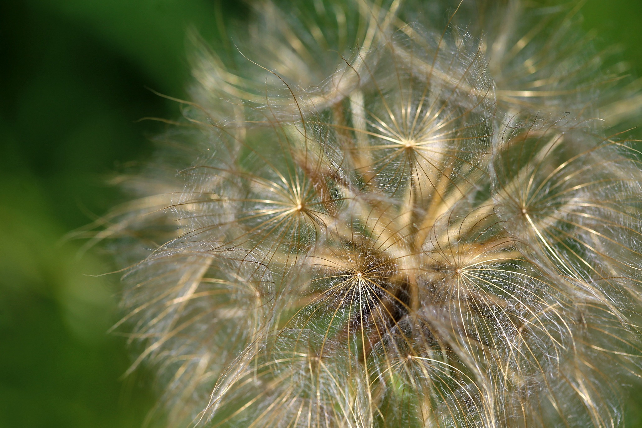 芜湖职业技术学院种子生产与经营专业怎么样？前景、课程、师资全解析！