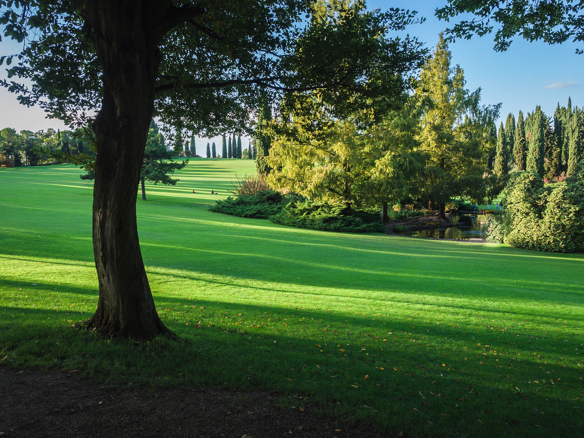 黑龙江大学的植物保护专业就业前景怎么样