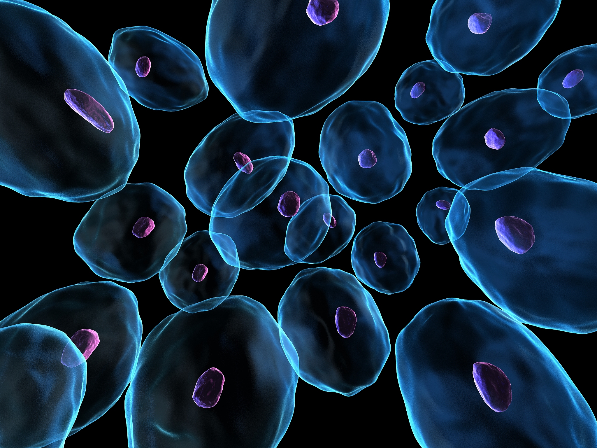 肿瘤药理基础实验操作：掌握细胞培养、凋亡、周期、迁移、移植等关键技术