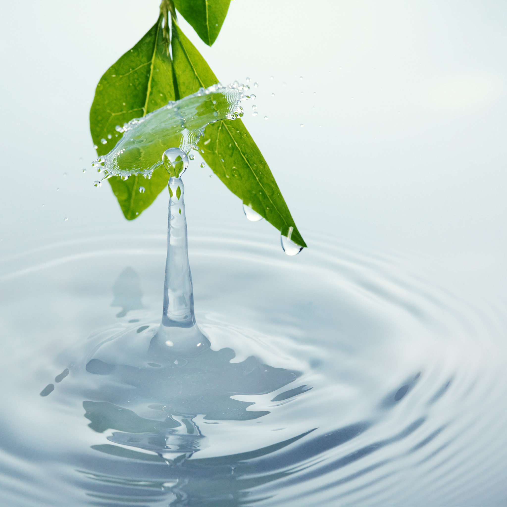 水净化：保护健康、环境和经济的关键