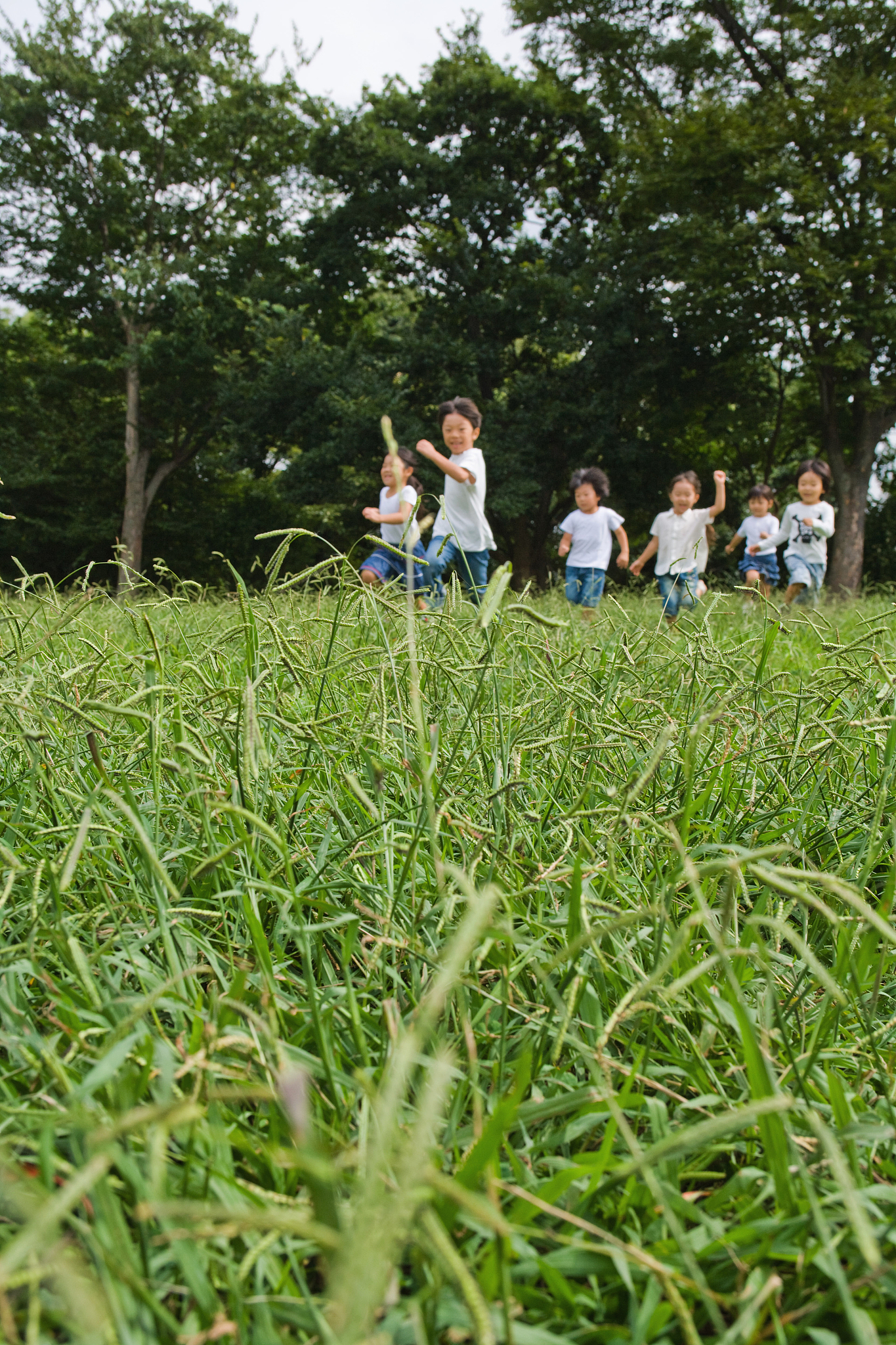 江苏昆山第二中等专业学校2022年招生专业 - 详细介绍