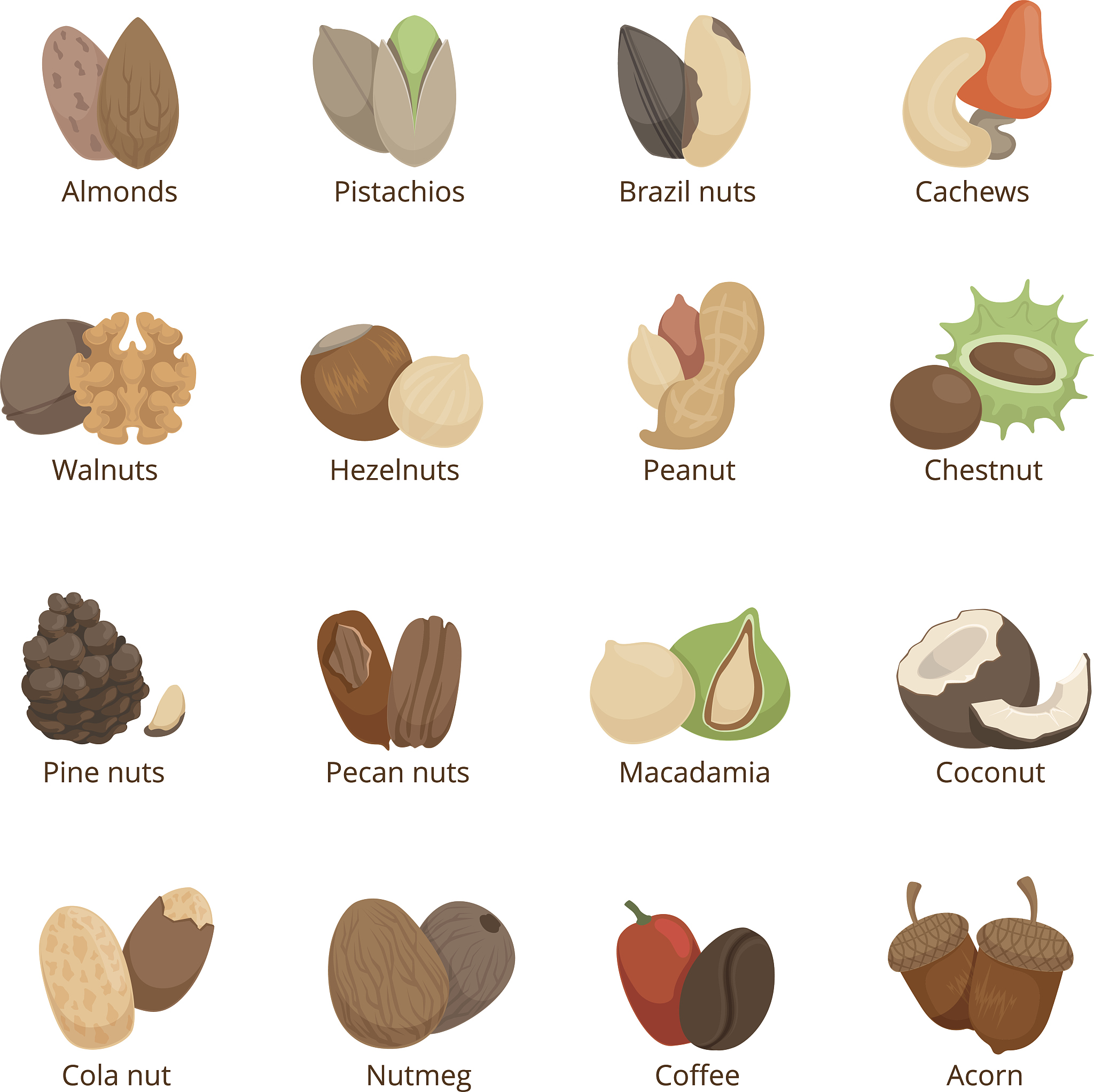 胡桃绘画指南：创作灵感与技巧