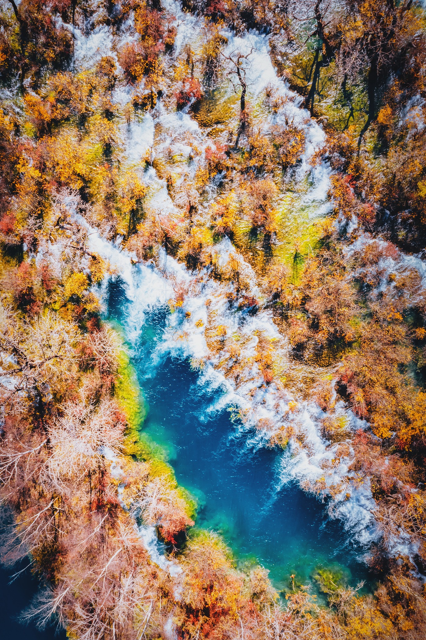 五月份九寨沟天气怎么样