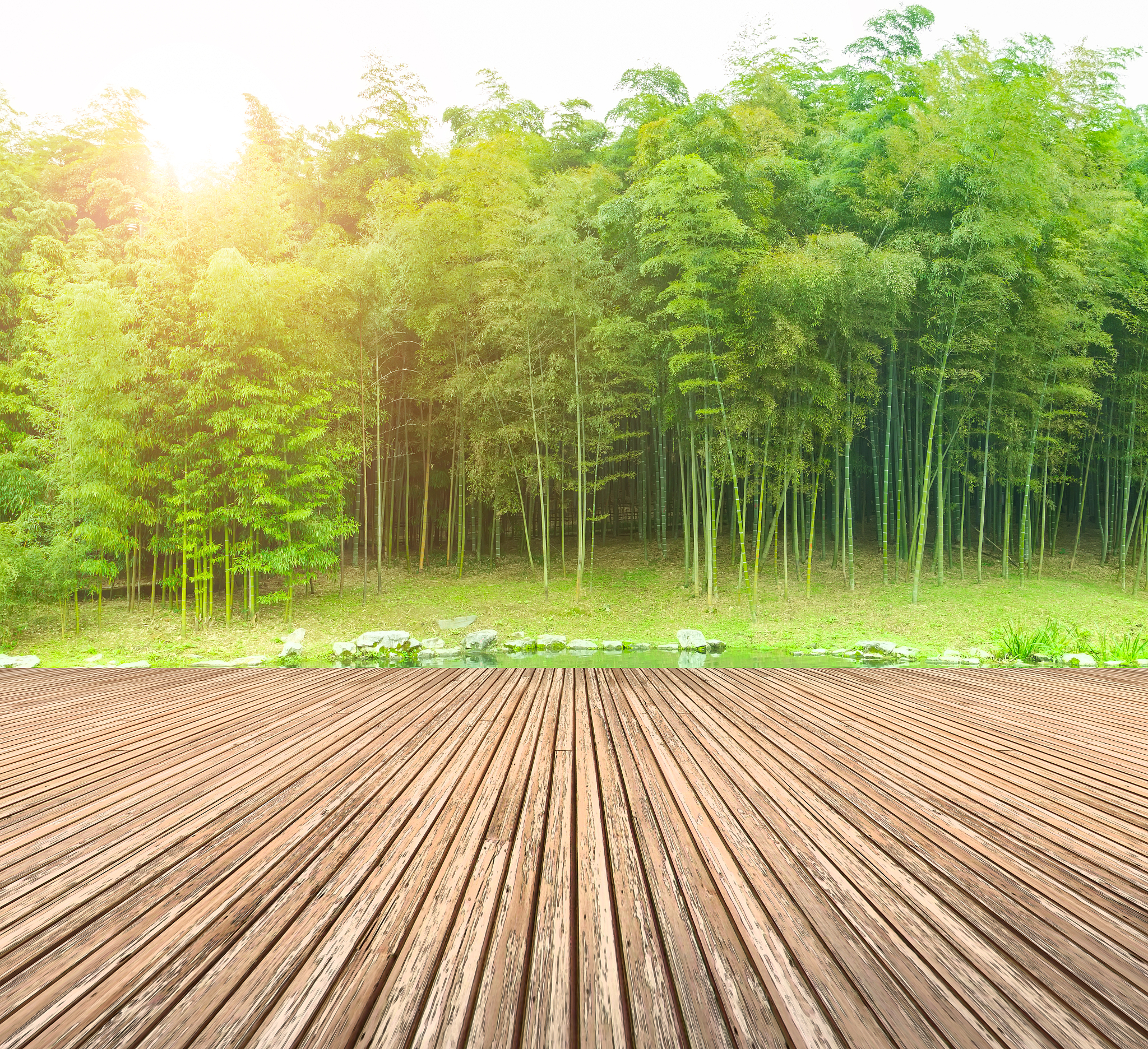 酒泉职业技术学院园艺技术专业到底行不行设有哪些课程
