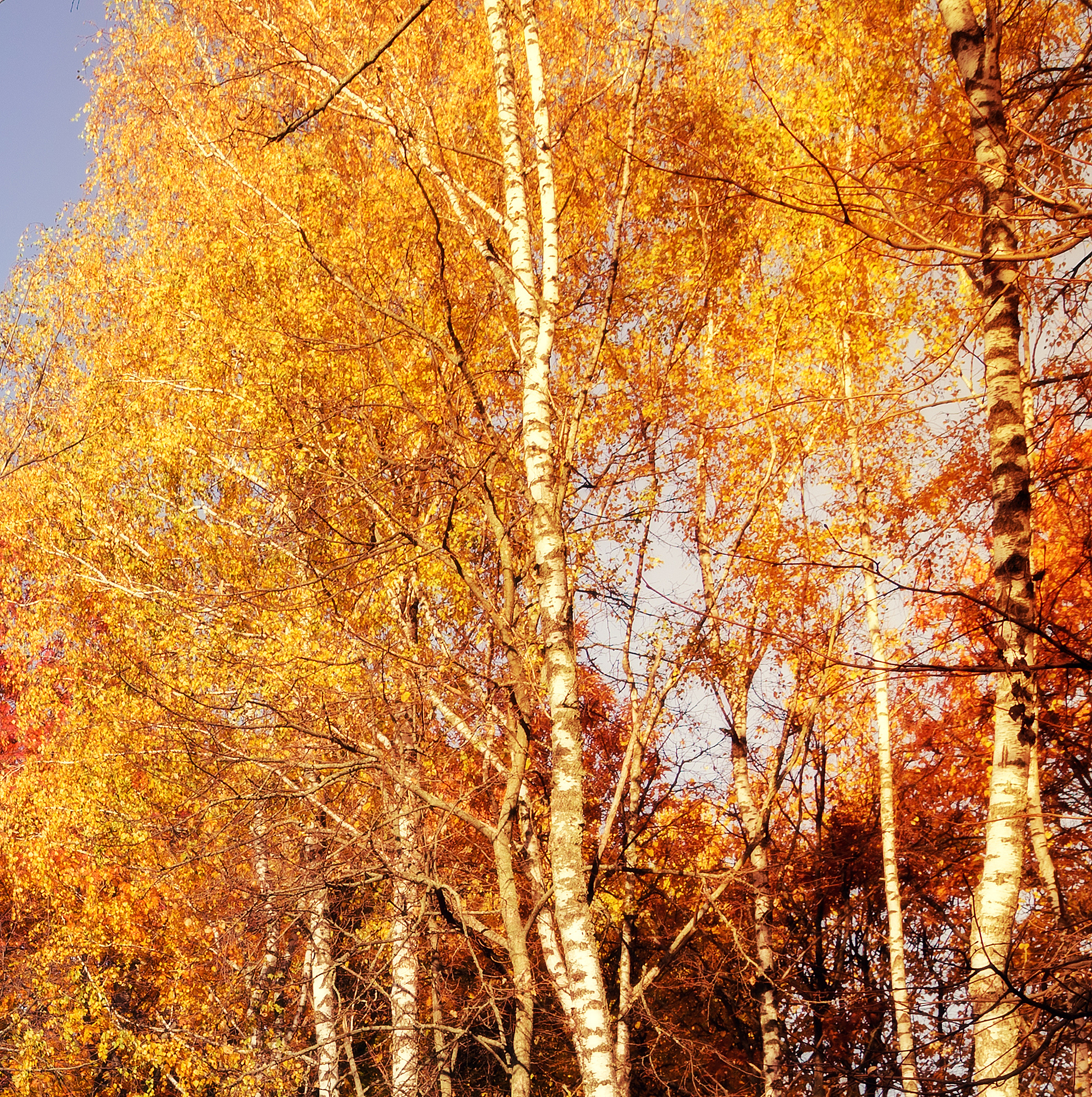 濮阳高新区1995-2004年洪灾时空分布及经济损失分析