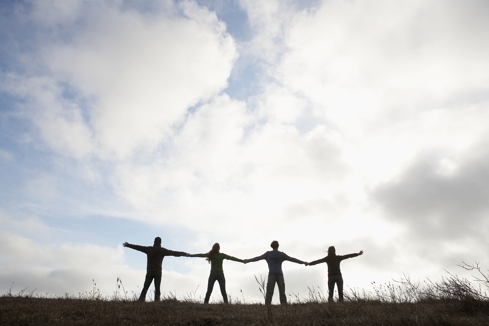 你是我的兄弟800字作文