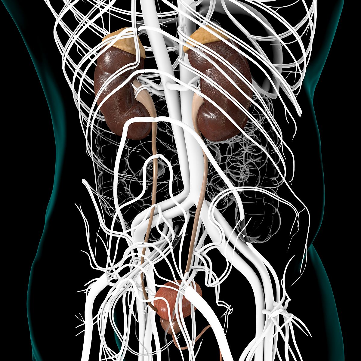 益阳医学高等专科学校热门专业：护理、中医学、影像技术、药学等