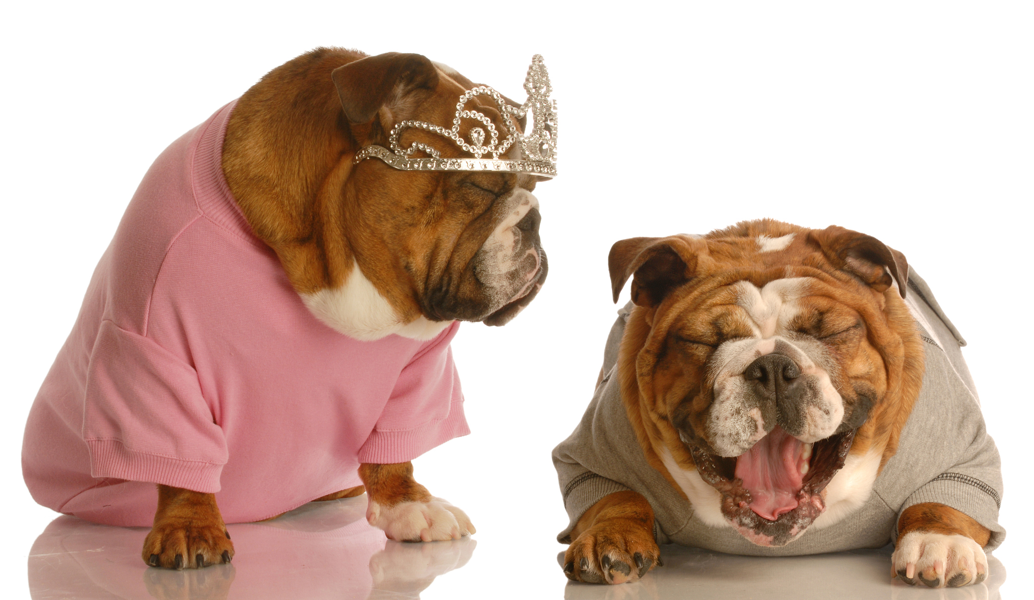 如何判断一篇帖子是否是积极的或者消极的