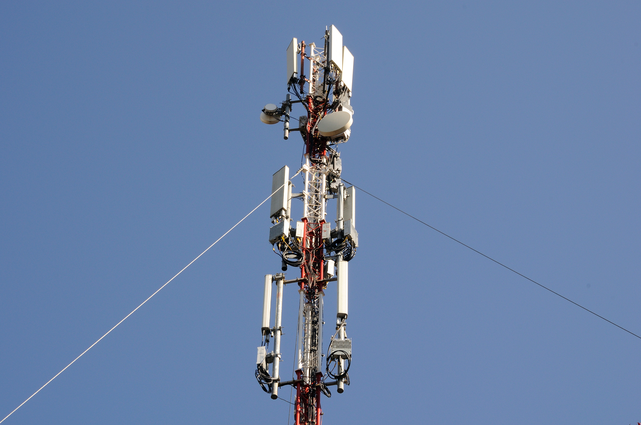 walis公式怎么通俗理解