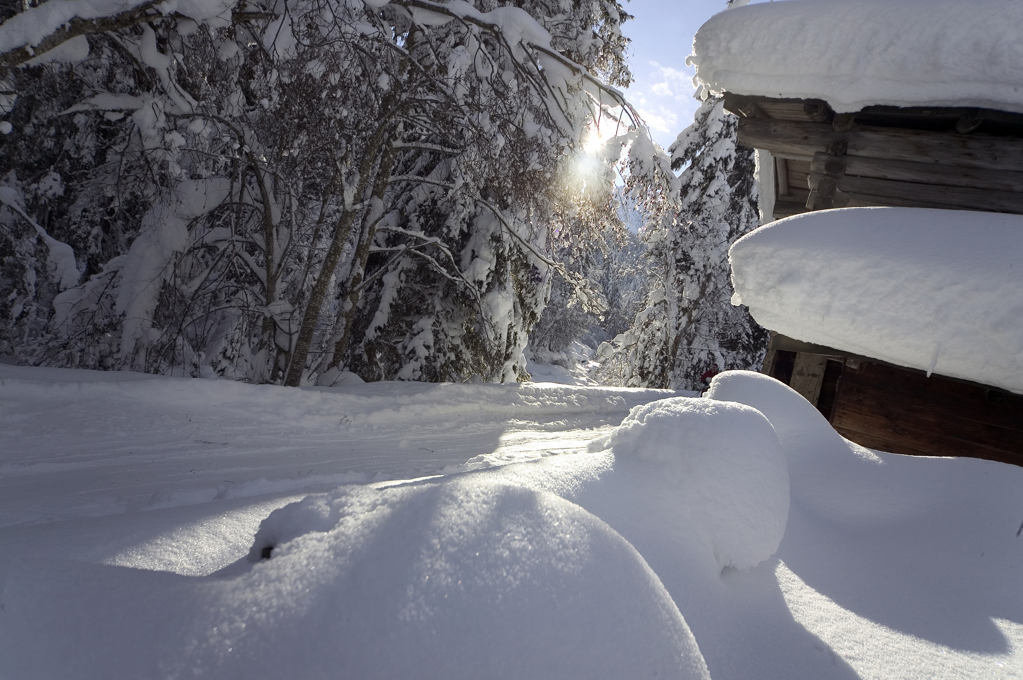以 让我记忆深刻 为题写一篇记叙文600字