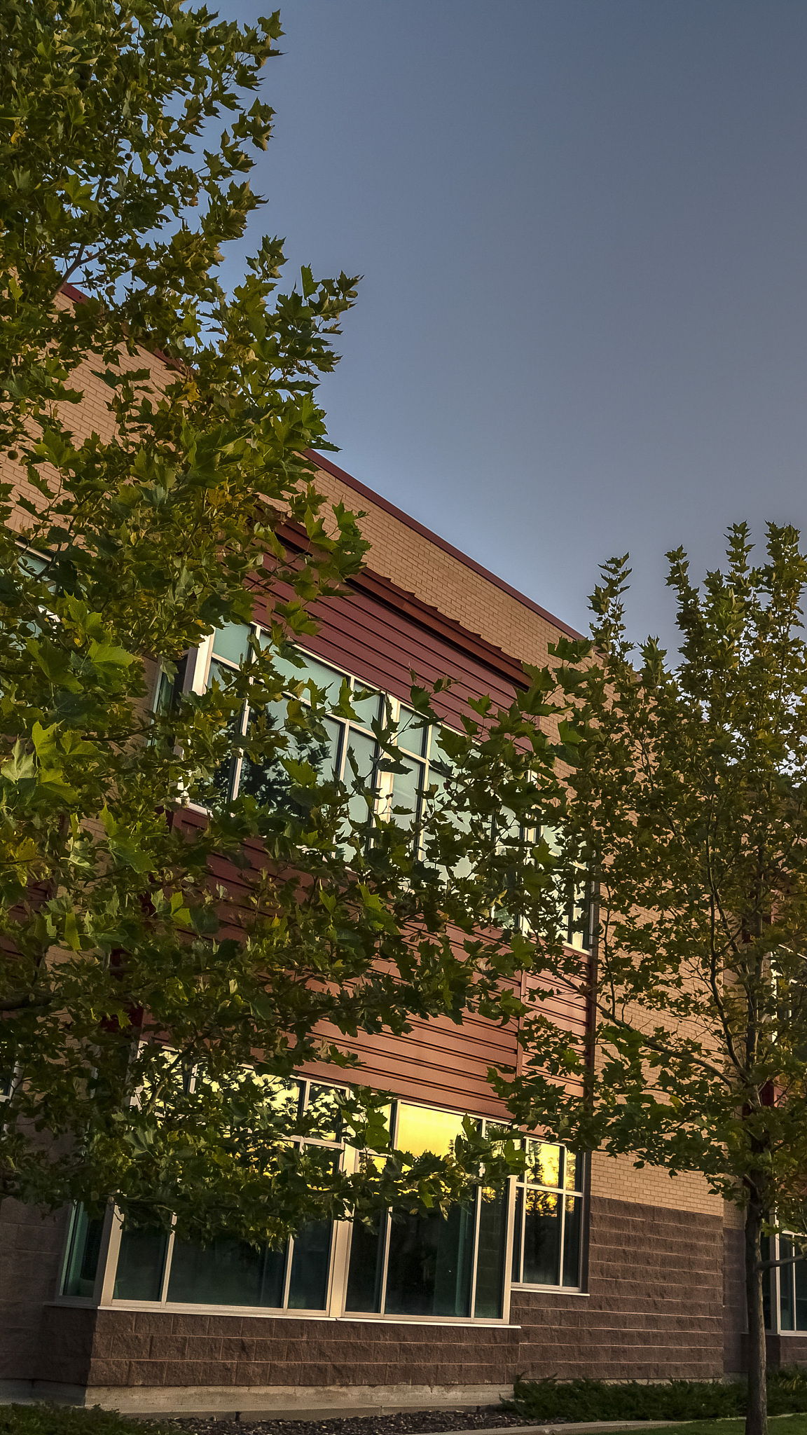 vertical suburban townhouse facade with trees near sunset