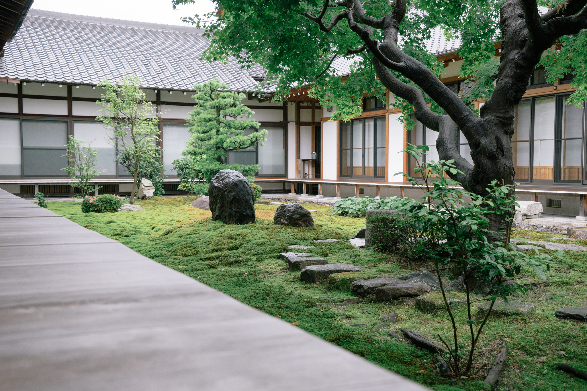 2020年重庆市风景园林技工学校园林工程监理方向招生