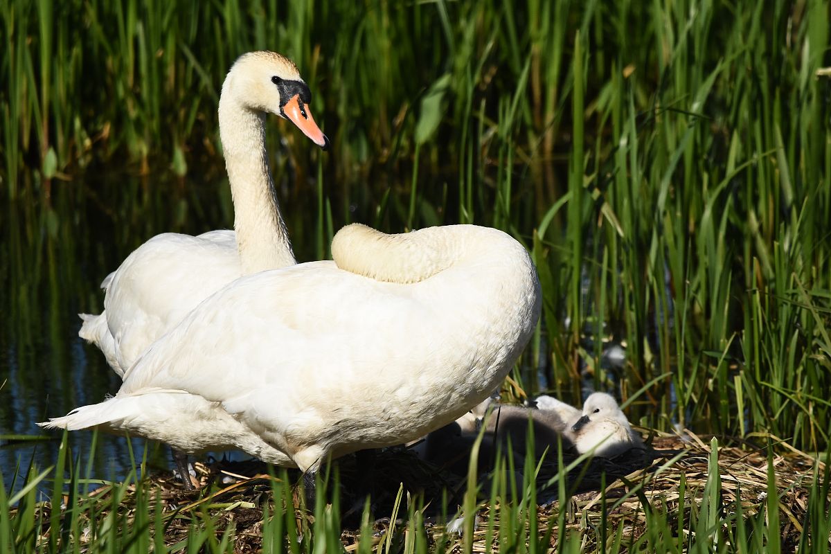 3000字的广东汕头河湖整治工程二级资质新办及转让多少钱要求语言生动活泼 重复率低于20 文章结尾加一句小吕谈资质