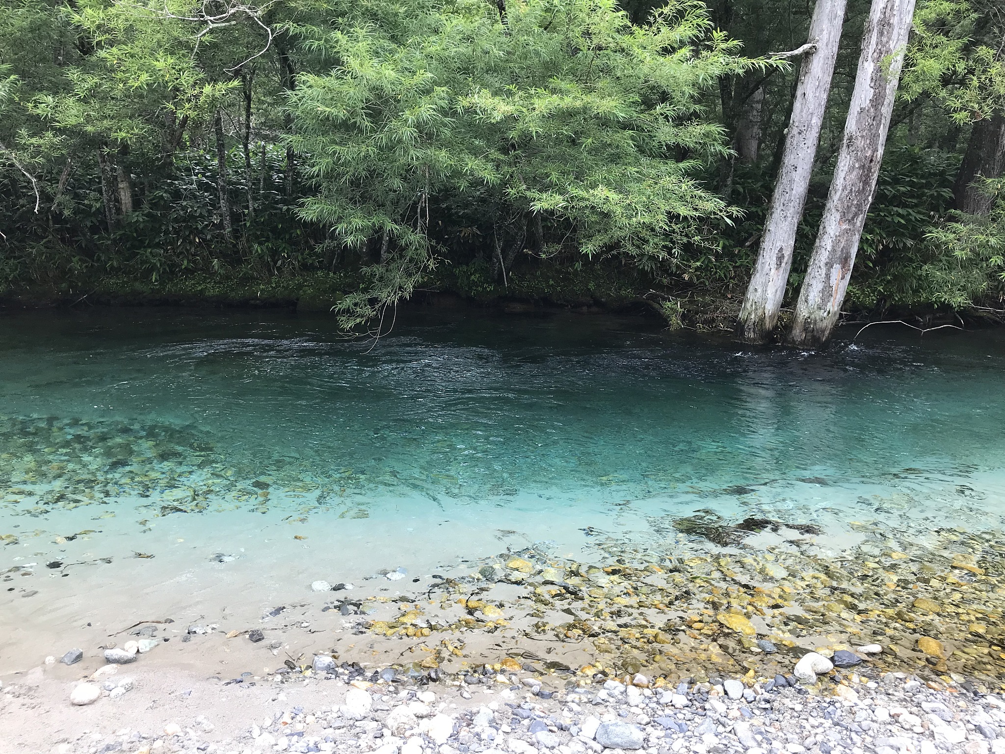 河流,自然美,清新,环境,色彩鲜艳,池塘,湖,瀑布