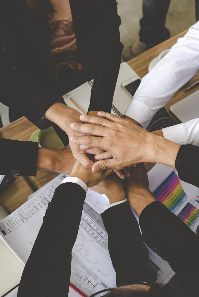 默契十足的团队：她们是工作伙伴，更是亲密朋友