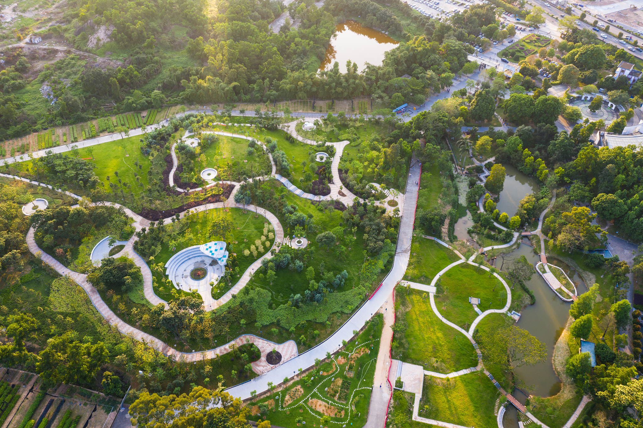 某区绿化提升报告 (2017-2022)