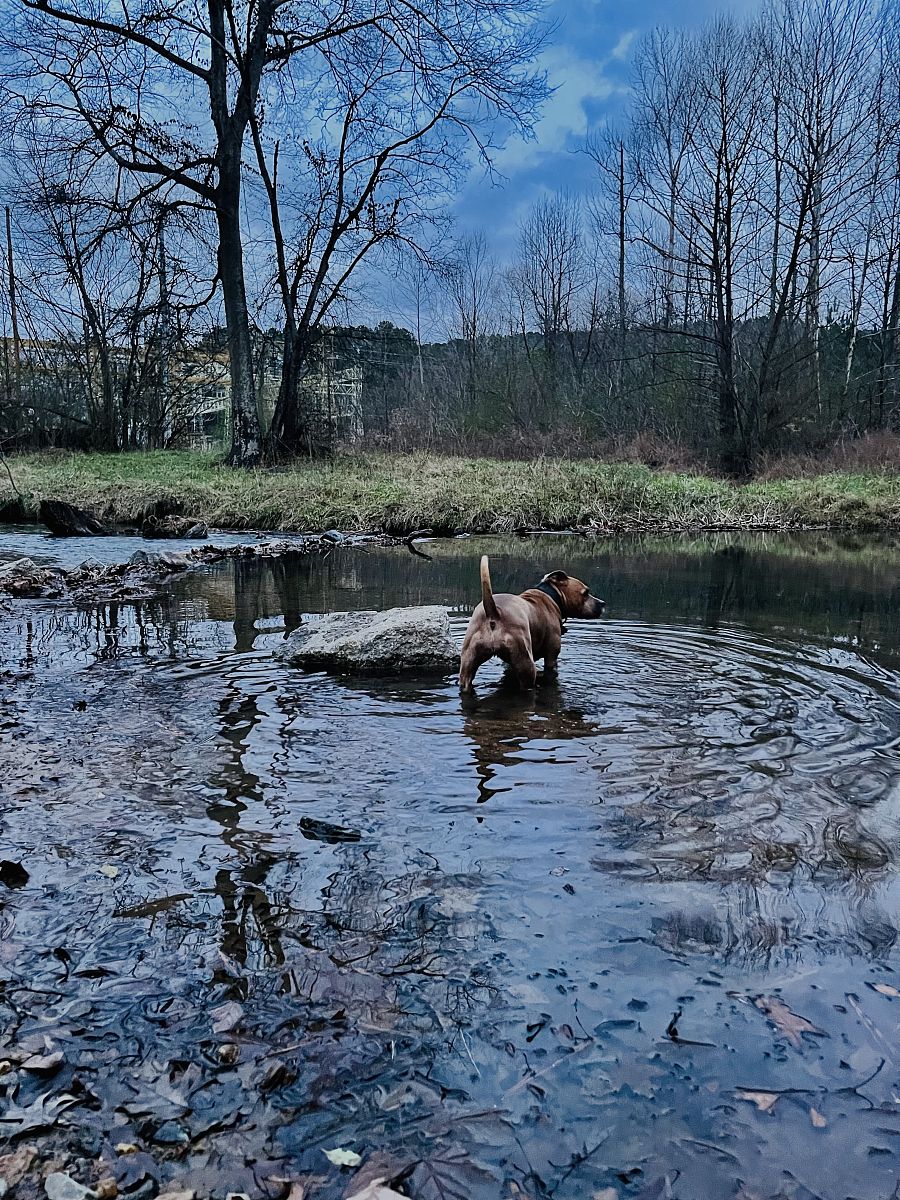 江苏2023年读铁路学校要多少钱-怎么样