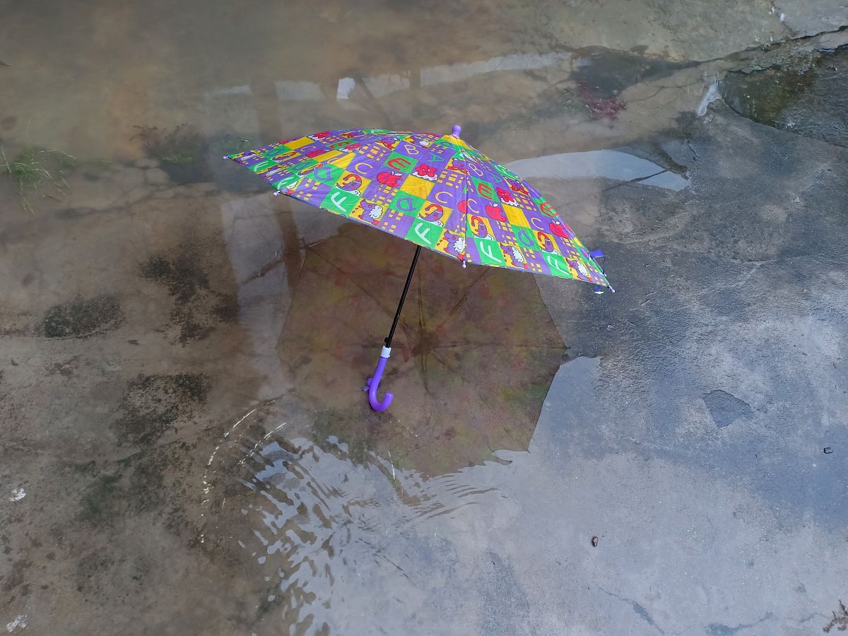 <strong>伞</strong>
