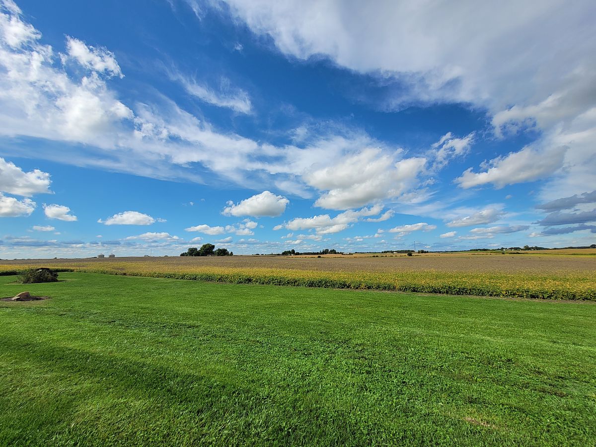 长方形草地放牧问题：面积增长与羊吃草