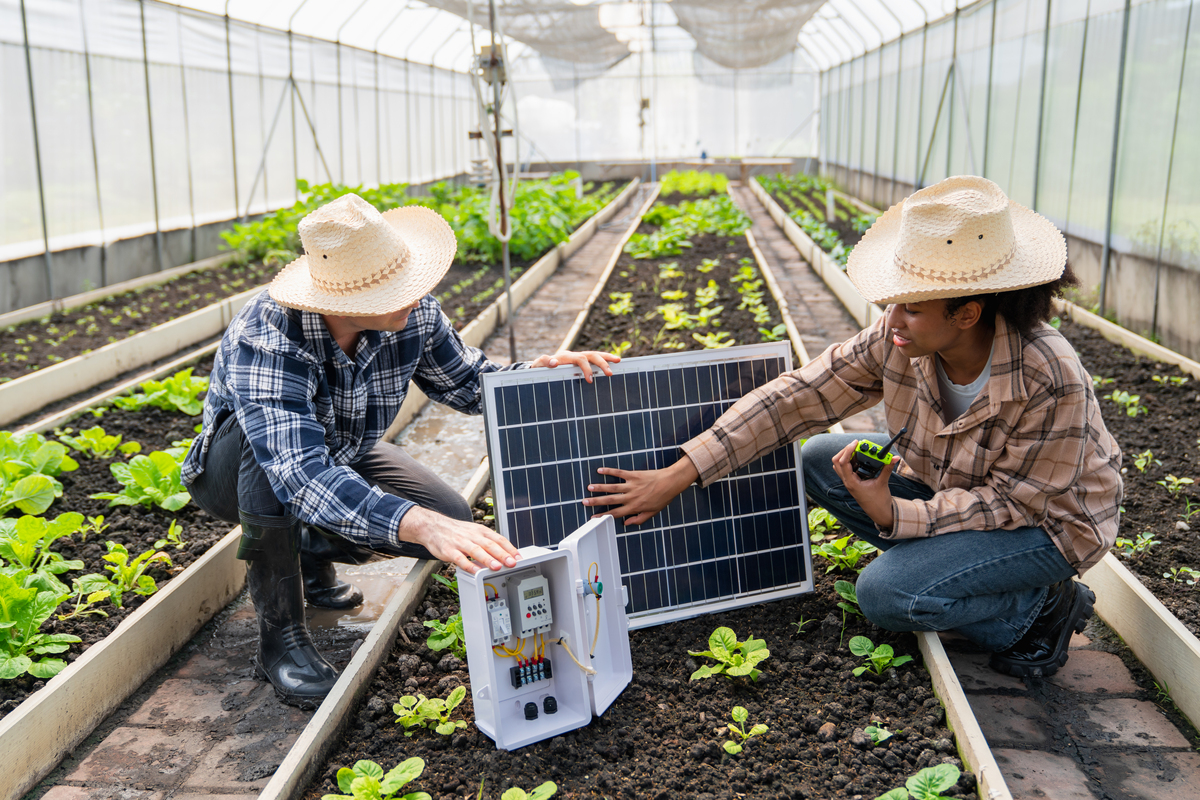 虫害是蔬菜生产中常见的问题它会对农作物的生长和发育造成严重的影响。智能蔬菜大棚的移动应用APP可以实现虫害检测功能通过用户手机拍摄图片和图像识别技术自动识别蔬菜大棚内的虫害类型和数量及时发出警报并提供相应的处理建议帮助农民及时采取措施避免虫害的扩散。虫害监测使用百度api接口
