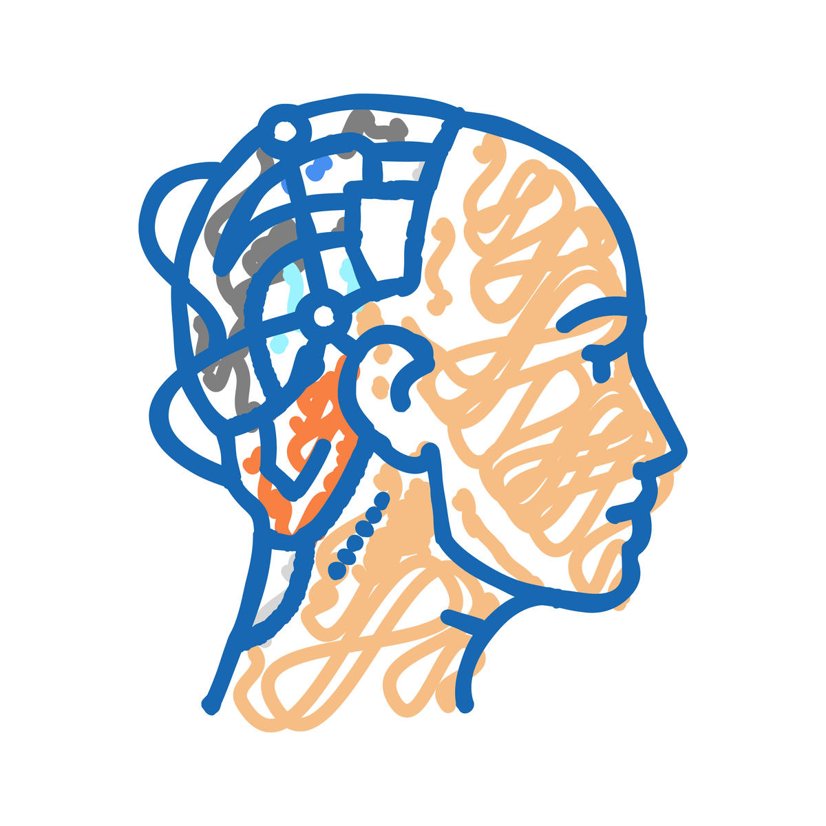 Fill-in-the-Blank Questions: Unlocking the Mysteries of the Human Brain