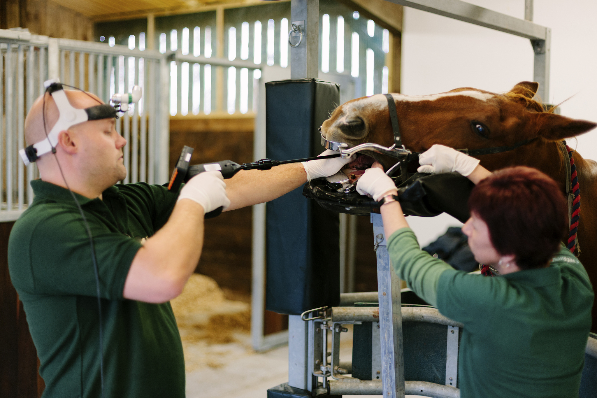 临沂卫生学校招生专业2021：护理、医学影像、口腔等专业