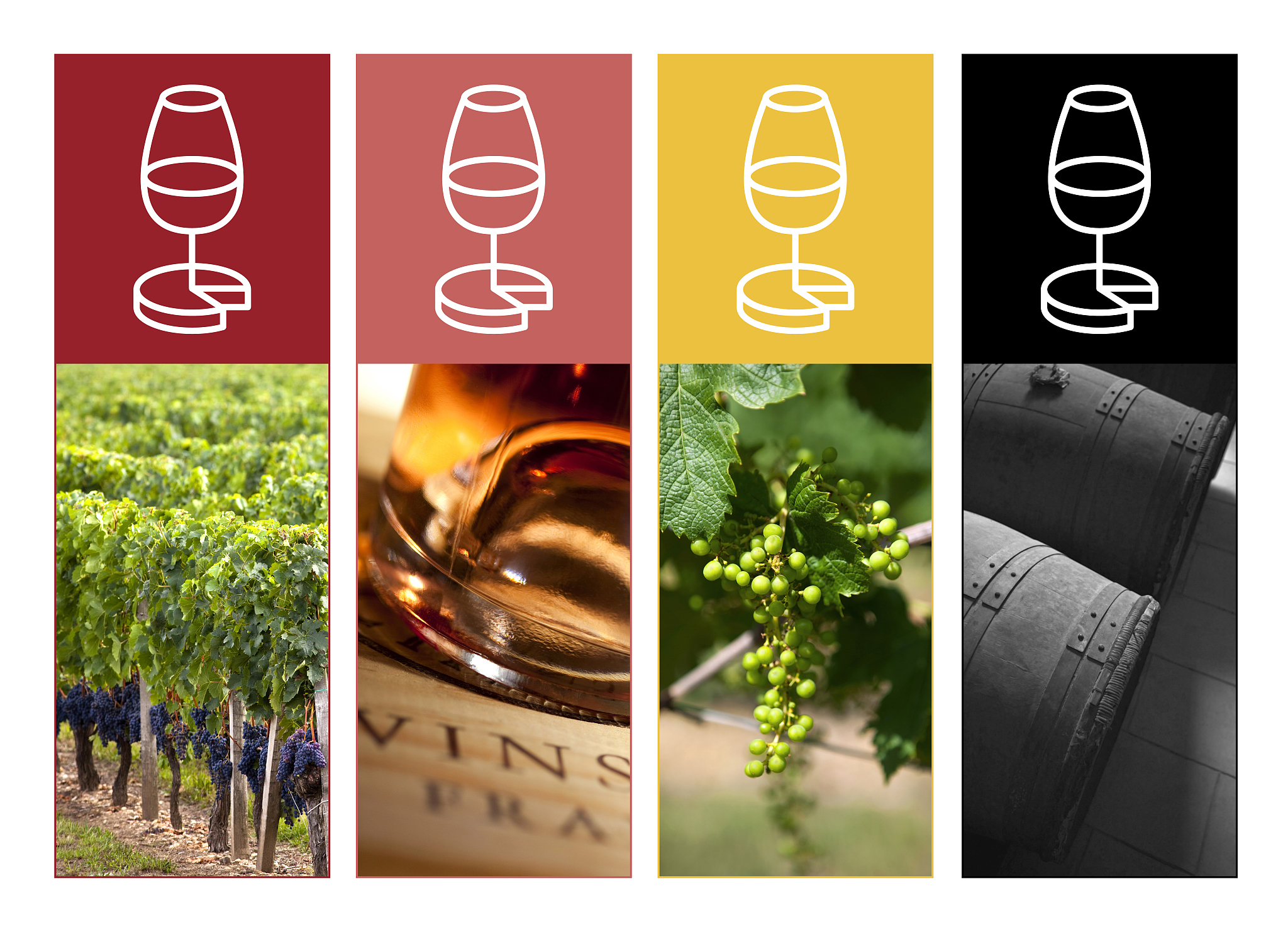 Opus One, Insignia, & Magnums: Exploring High-End Wine