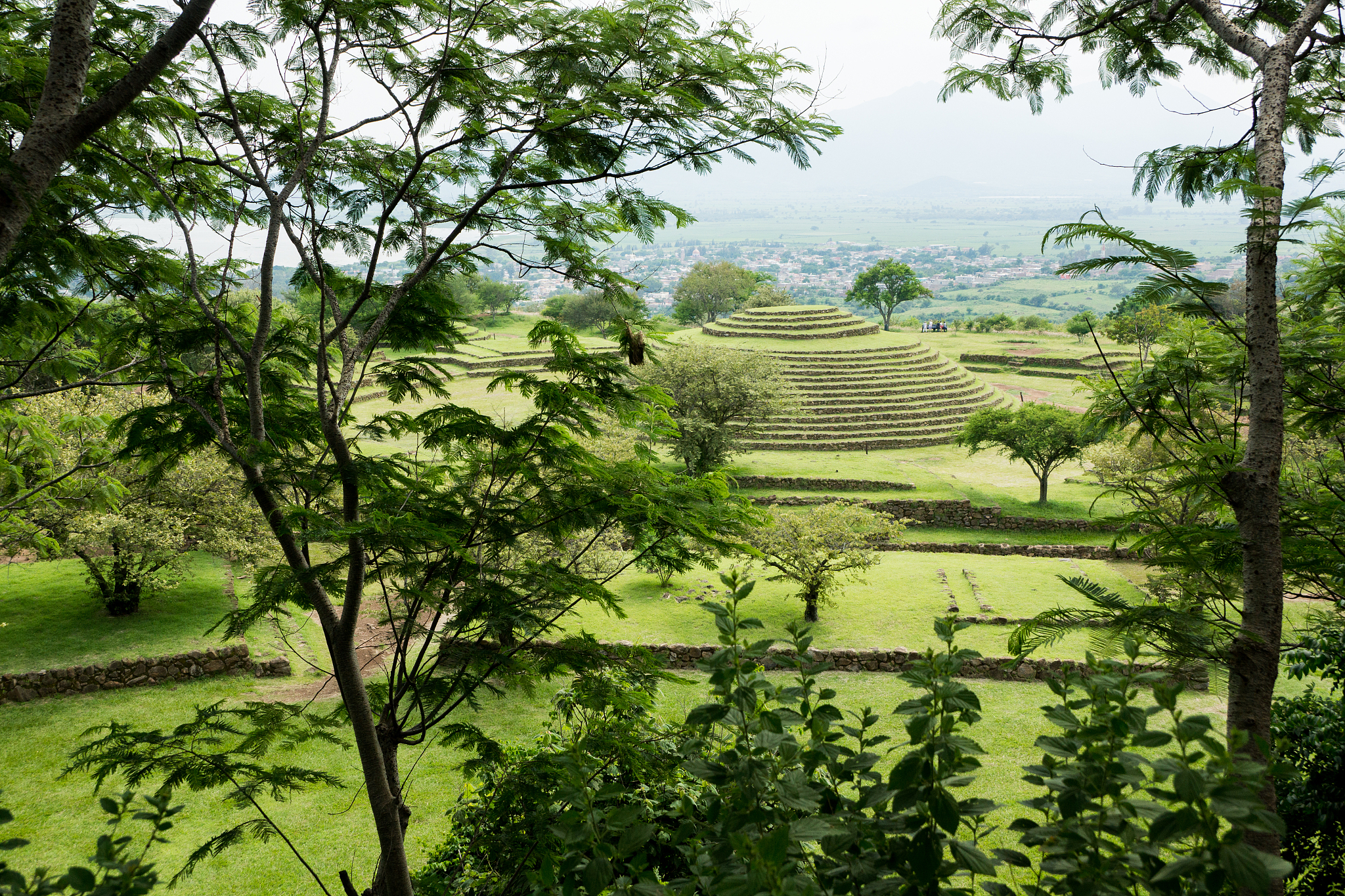 目前中國歷史有哪些分歧或意見不一致？中國歷史有什麼令人興奮的地方？為什麼中國歷史正在變得流行？