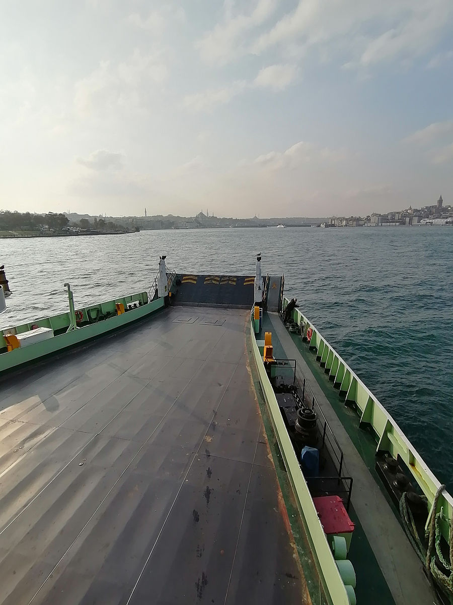 检疫流程详解：进出口动植物、产品及人员检疫步骤