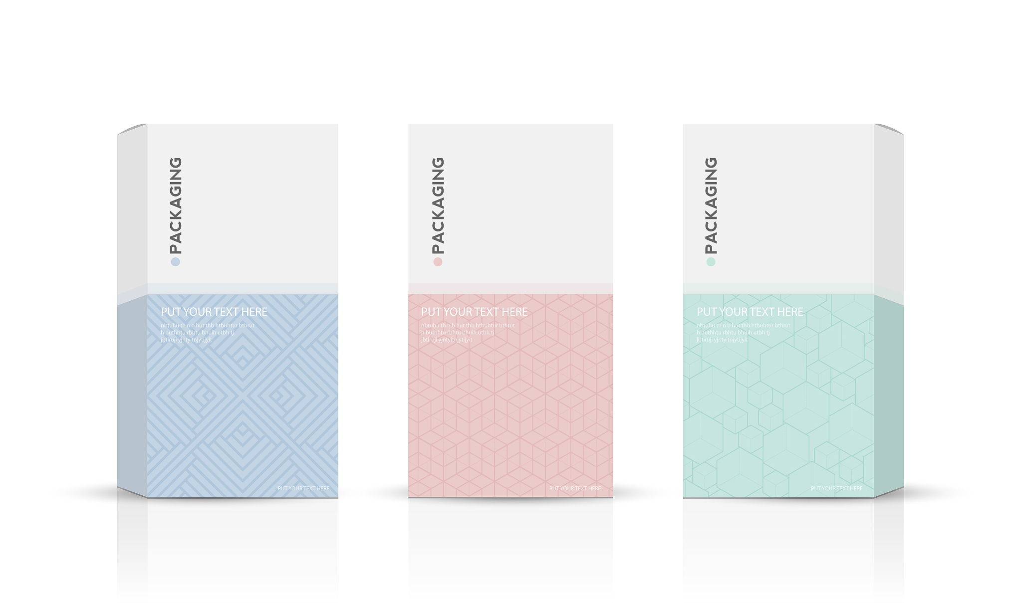 box, packaging template for product vector design illustration.