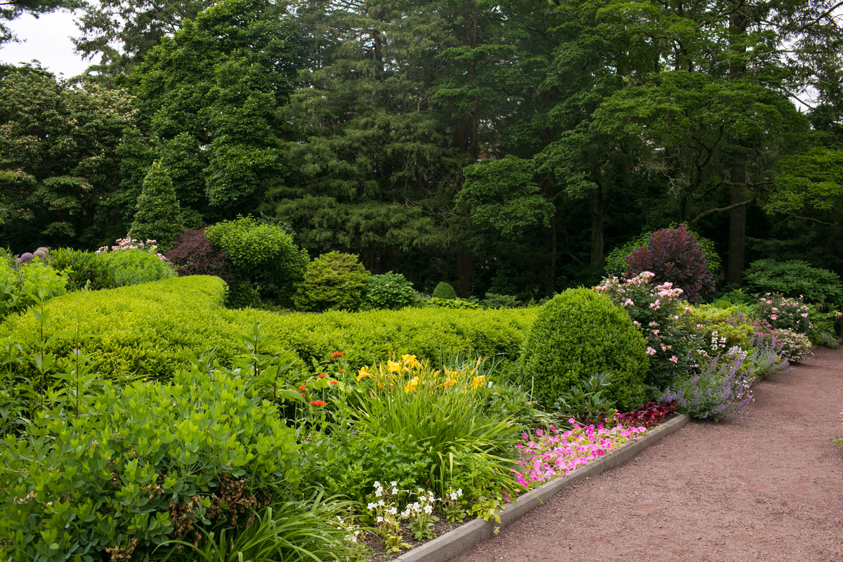 中国园林植物种类盘点：常见品种分类及特色