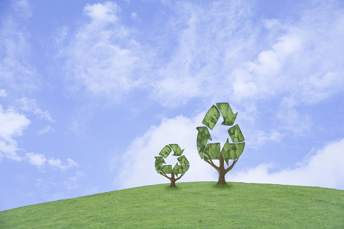 环境保护PPT制作指南：主题、内容和技巧