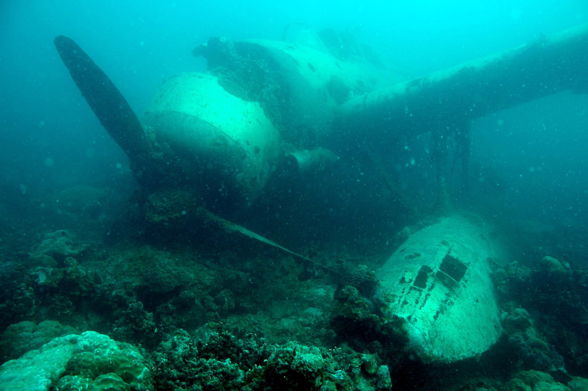 广州潜水学校招生条件:2023最新要求及报名指南